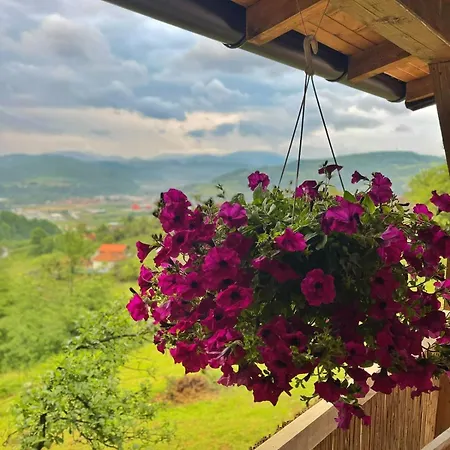 Silent Pyramid Holiday home Visoko